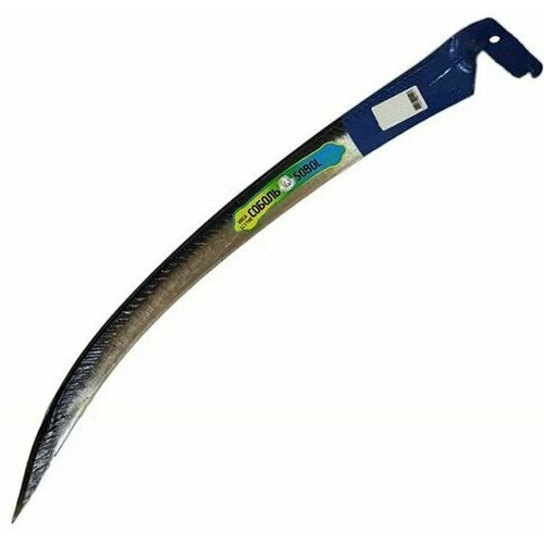 ������ ������ ���� 