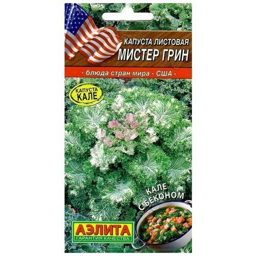 ������ ������ ������. ������� �������� 