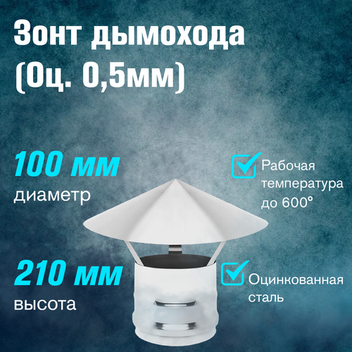 ������ ������ ���� ������������ (100) ����