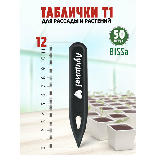 ������ ������ ������� �������� ��� ������� � ��������, Bissa �1, ������, 50 �� ����