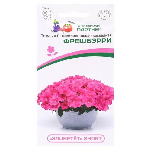 ������ ������ ������ ������� �������������� ��������� 