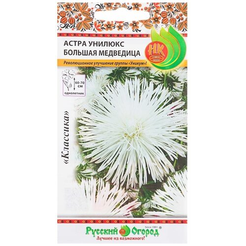 ������ ������ ����� 