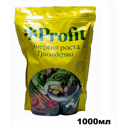  Profit  1000     -     , -,   