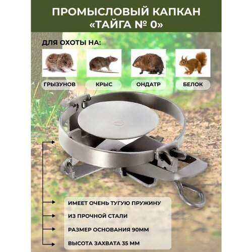 ������ ������ ������ ������������� ����� ���������� �������� �� �������� ����