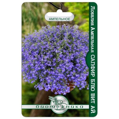 ������ ������ ������ ������� ��������� 