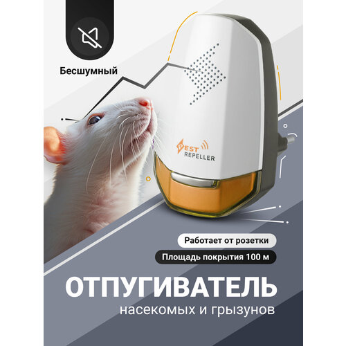 ������ ������ ������������ ����� � ���������, �������������� ������������ �������� SSY ����