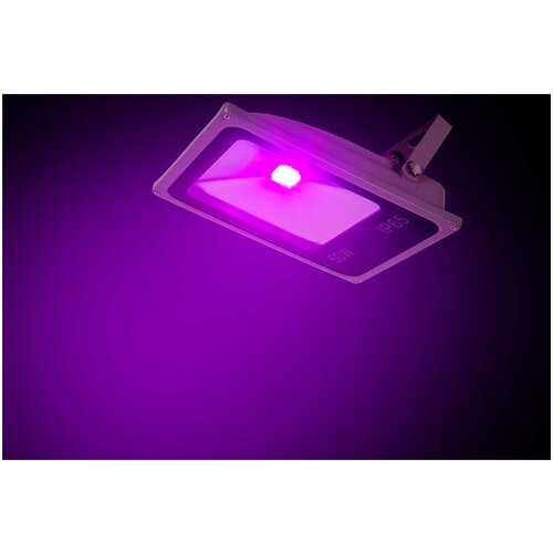 ������ ������ ������������� ��� ������, �������� �����������, ��������� 