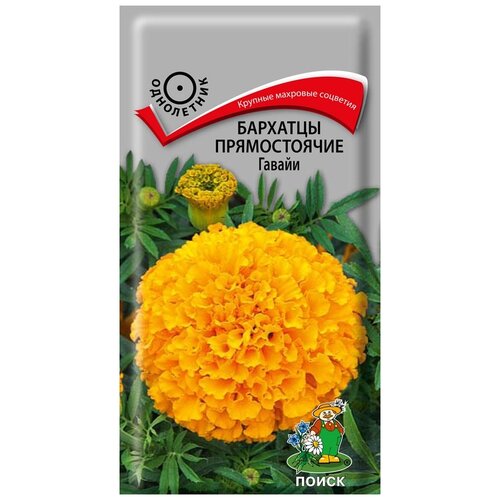 ������ ������ ������ ����� �������� ������������ ������ 0.4 � ����