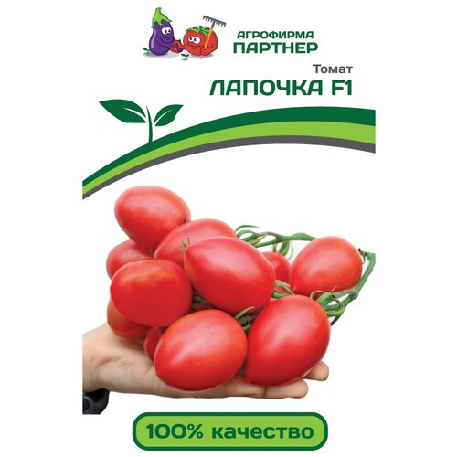 ������ ������ ������ ��������� ������� ����� ������� F1 10 ��. ����