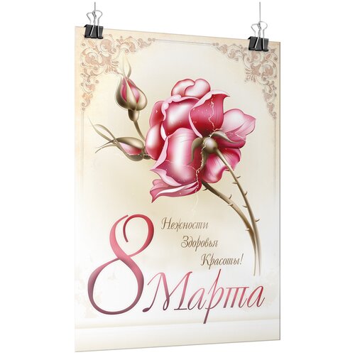 ������ ������ ������ �� 8 �����, ������ �-2 (42x60 ��.) ����