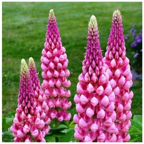 ������ ������ ������ ������ ����� ����������� ������� �������� 14 ��. ����