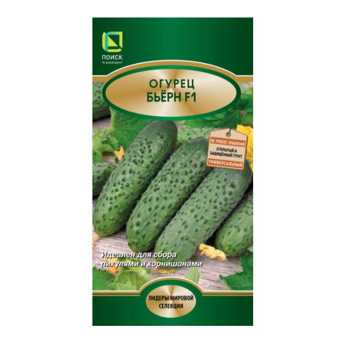 ������ ������ ������ ������ ����� F1 5�� ������������������ ������ (�����) ����