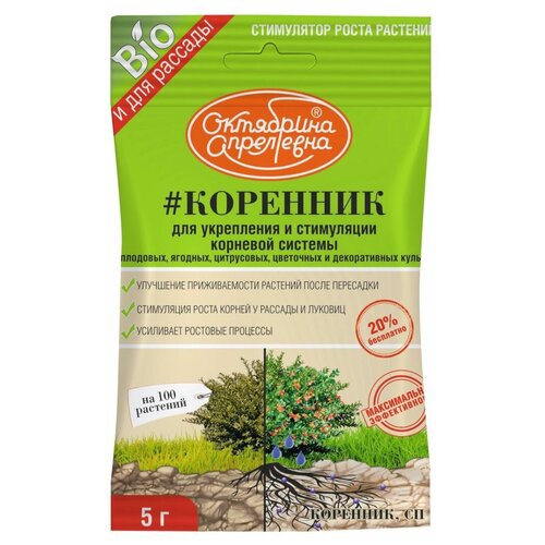 ������ ������ ��������� ��������� ��������� ��������, 0.005 �, 5 � ����