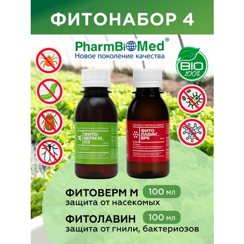 ������ ������ �������� 