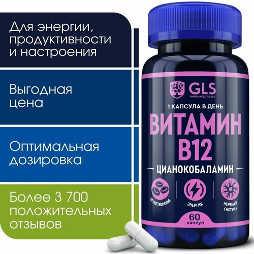 ������ ������ ������� �12 / �12, ���� / �������� ��� ������� � ������� ������� B12, 60 ������ ����