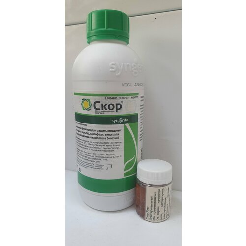 ������ ������ �������� 