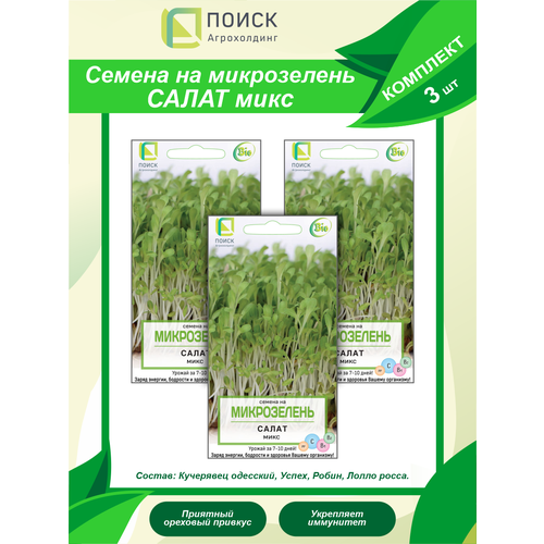 ������ ������ ������ �� ����������� ����� ���� � 3 ��. ����