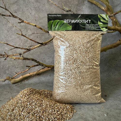 ������ ������ ���������� ��� ��������� �������� ������������ ������ 3 ����� ����