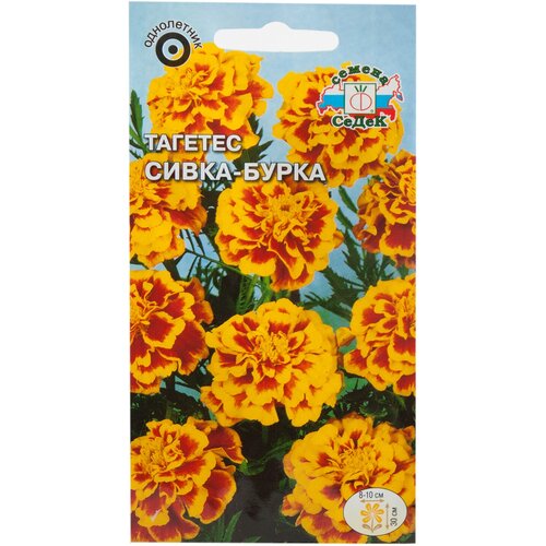 ������ ������ ������ ��������� �����-����� ����