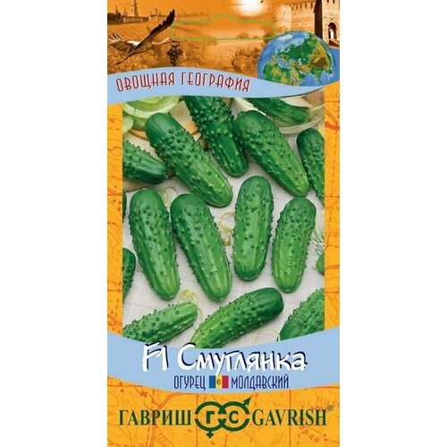 ������ ������ ������ ������ ��������� F1, 10��, ������, ������� ���������, 10 �������� ����