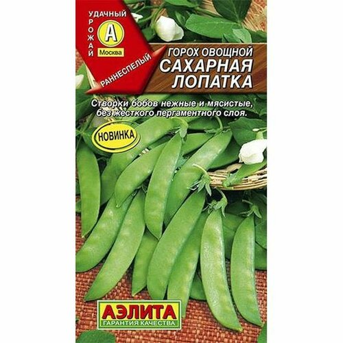 ������ ������ ������. ����� �������� 