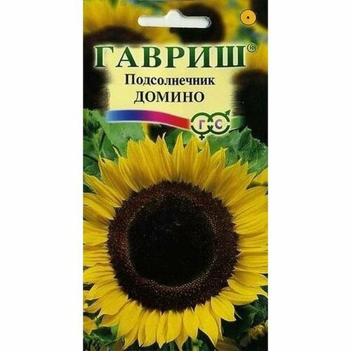 ������ ������ ������ ������������ ���. ������ (����������) (������) 0,5� ����