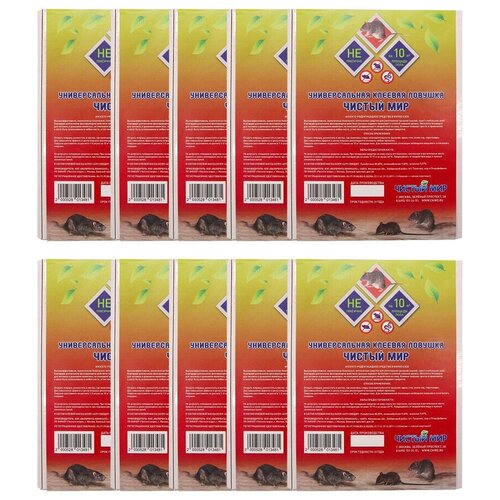 ������ ������ ������� �������� �� �������� ������ ���, �������� 10 ���� ����