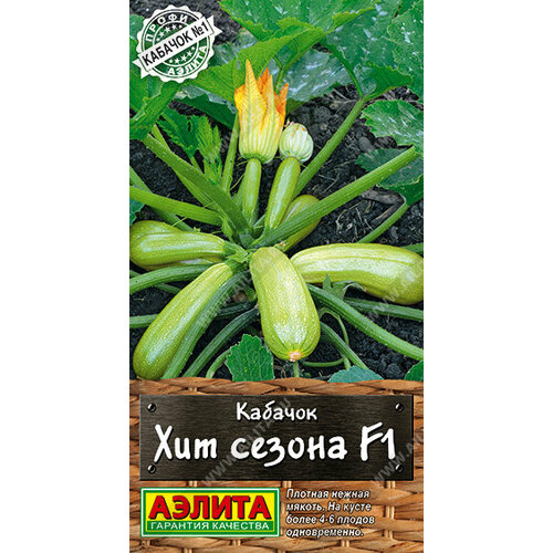 ������ ������ ������ ������� ��� ������ F1 5�� ������ (������) ����