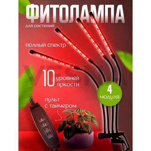 ������ ������ ������������ ��������� - ��� ��������, ������ � �������/������/4 ����������� ����