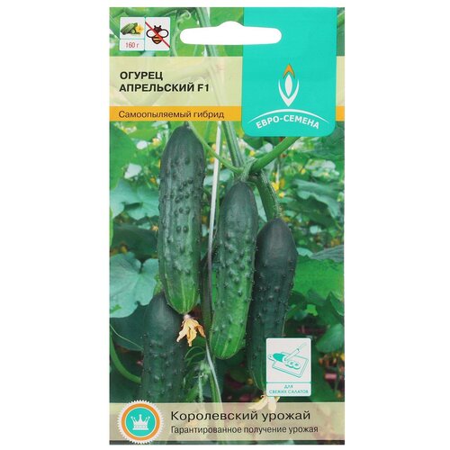 ������ ������ ������ ������ ���������� F1 ��/� 0,25 ��, ������������������ ����