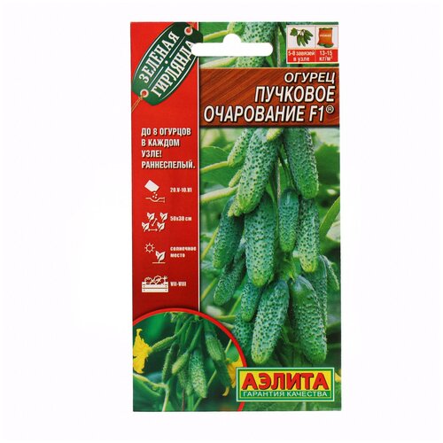 ������ ������ ������. ������ �������� ���������� F1 ������������������������� ��������, 10 �� ����