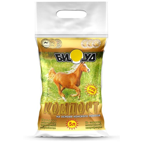 ������ ������ ������� ���� �������, 5� ����