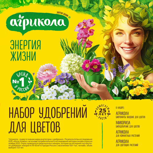 ������ ������ ����� ��������� ��� ������ 