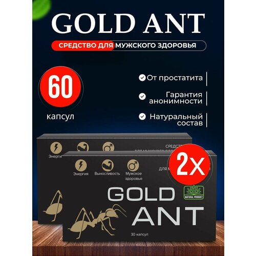    Gold Ant ,  ,    60    -     , -,   