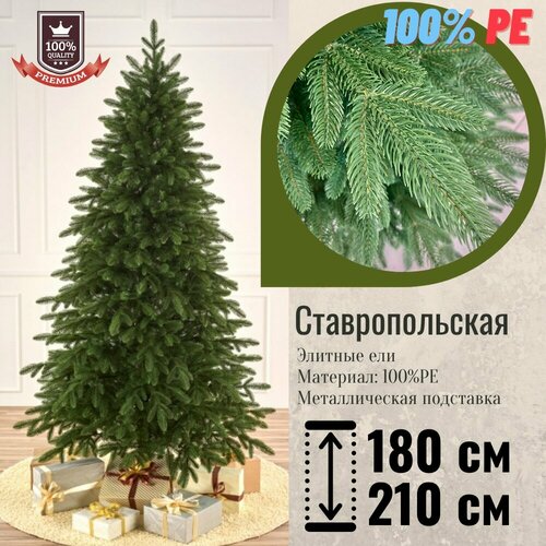 ������ ������ ������������� ���� �������������� 100% ����� ����, ������ 1.2 �, ������������� ��������� ����