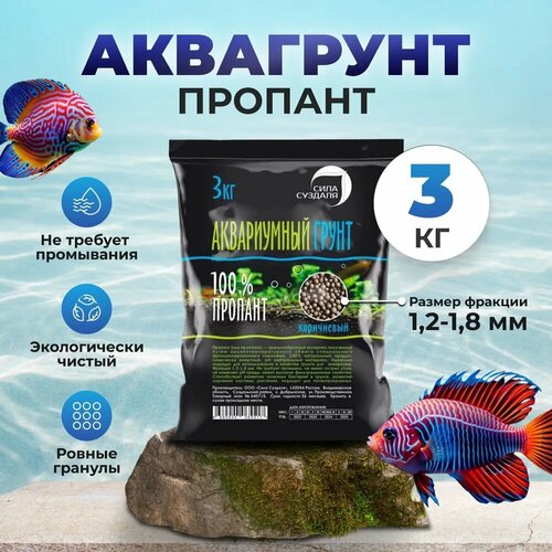 ������ ������ ����� ��� ��������� � ���������� ���� �������/ �������, 3 �� ����