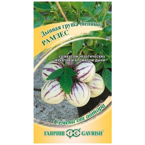 ������ ������ ������ ������ ������ �� ������ ������ ������ 5 ��. ����