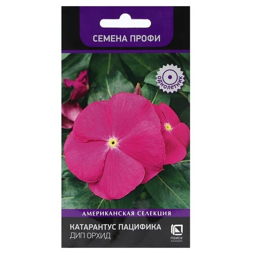 ������ ������ ������ ����� ���������� ��������  ��� �����, 10 �� ����