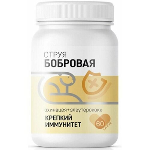 ������ ������ �������� ����� 