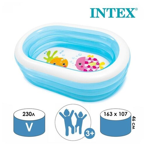   INTEX     , 163  107  46 ,  3 , 57482NP INTEX 