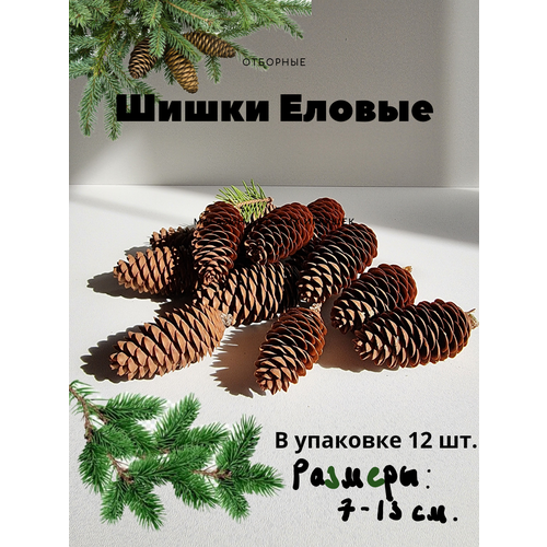 ������ ������ ����� ������ ��������12 �� � �������� ����