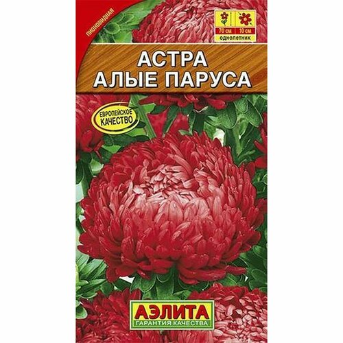 ������ ������ ������ ����� ���� ������, ����������, (������) 0,2� ����