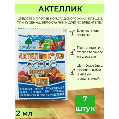 ������ ������ �������� ������ �������� �������� ����