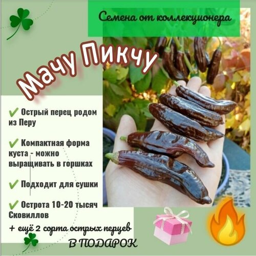 ������ ������ ����� ������ 