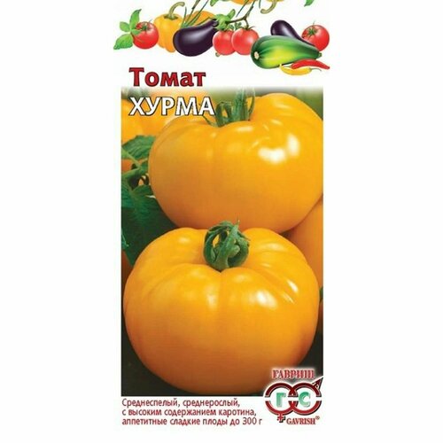 ������ ������ ������ ����� ����� (������) 0,1� ����