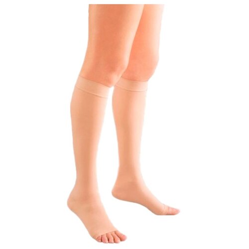 ������ ������ ������ Ergoforma 322 �����������������, 2 �����, ������: 5, �������� ����