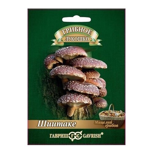 ������ ������ ������� ������ ������ ������� ������� ������� �� ��������� ������� 12 ��. ����