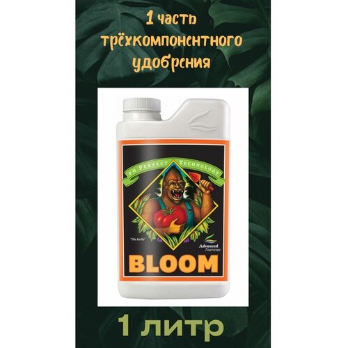 ������ ������ PH Perfect Bloom 1 � | Advanced Nutrients ����