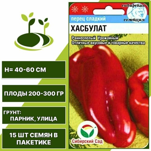 ������ ������ ����� ������� �������� 1 �� ��, ��������� ���, 15 �� ����� � �������� ����