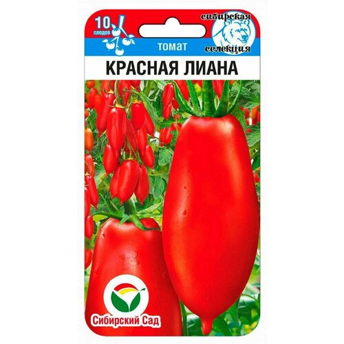 ������ ������ ����� ������� ����� ����